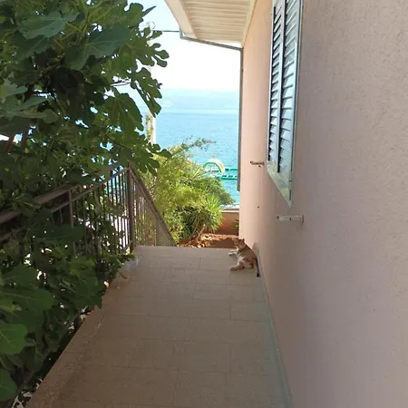 Cici Apartamento